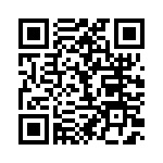 BFC233617333 QRCode