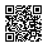 BFC233843333 QRCode