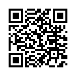 BFC233865333 QRCode