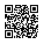 BFC233913105 QRCode