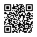 BFC233918333 QRCode