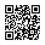 BFC236551333 QRCode