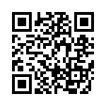 BFC236653332 QRCode