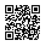 BFC236846333 QRCode