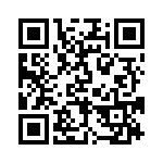 BFC237955333 QRCode