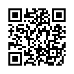 BFC237965333 QRCode