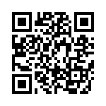 BFC238021393 QRCode