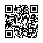 BFC238560133 QRCode