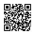 BFC238563133 QRCode