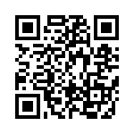 BFC241913304 QRCode