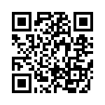 BFC241931102 QRCode