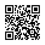 BFC241946203 QRCode