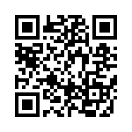 BFC246717333 QRCode