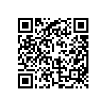 BKT-119-04-L-V-P-TR QRCode