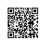 BKT-137-01-L-V-S-P QRCode