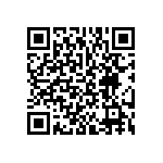 BKT-137-04-L-V-P QRCode