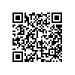 BKT-141-04-L-V-S-A-P QRCode