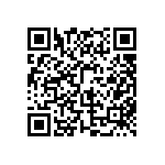 BKT-153-04-L-V-S-A-P QRCode