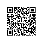 BKT-161-01-F-V-A-P-TR QRCode