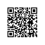 BKT-161-01-L-V-S-A-P QRCode