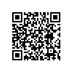 BKT-161-01-L-V-TR QRCode