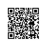 BKT-161-04-L-V-S-A-P QRCode