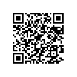 BKT-163-02-L-V-S-A-P-TR QRCode