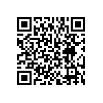 BKT-163-04-F-V-P QRCode