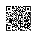 BKT-163-04-L-V-A-P-TR QRCode