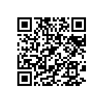 BKT-163-04-L-V-S-P QRCode