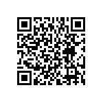 BKT-167-01-F-V-P QRCode