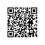 BKT-167-01-L-V-A-P QRCode