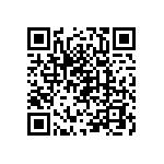 BYV29B-300-E3-81 QRCode