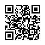 BZT52B13-TP QRCode