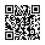 BZT55A6V8-GS08 QRCode