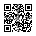 BZT55B10-L0G QRCode