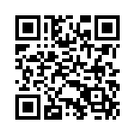 BZT55C15-L1G QRCode