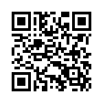 BZT55C16-L1G QRCode