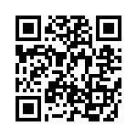 BZT55C22-L1G QRCode