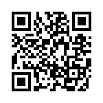 BZT55C33-GS08 QRCode