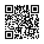 BZV01-Z0000-08 QRCode