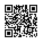 BZV01-Z0000-13 QRCode