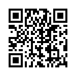 BZV55C20-L0G QRCode