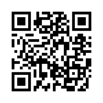 BZV85-C13-133 QRCode