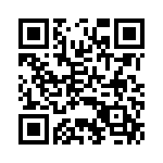 BZV85-C4V3-133 QRCode