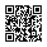 BZW04-17-B0G QRCode