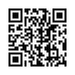 BZW04-171HR1G QRCode