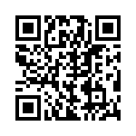 BZW04-17HR1G QRCode