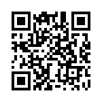 BZW04-23-E3-73 QRCode