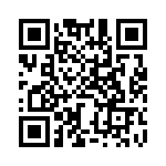 BZW04-256-R0G QRCode